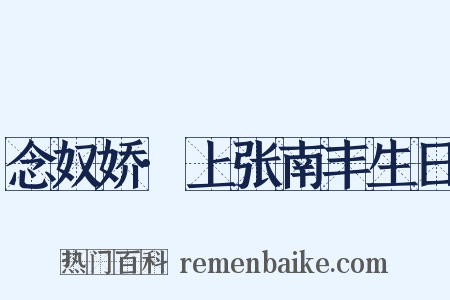 念奴娇·上张南丰生日是什么意思的图片